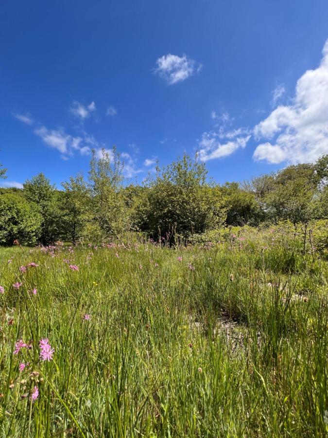 Foxglove Eco Lodge Llanelli Bagian luar foto