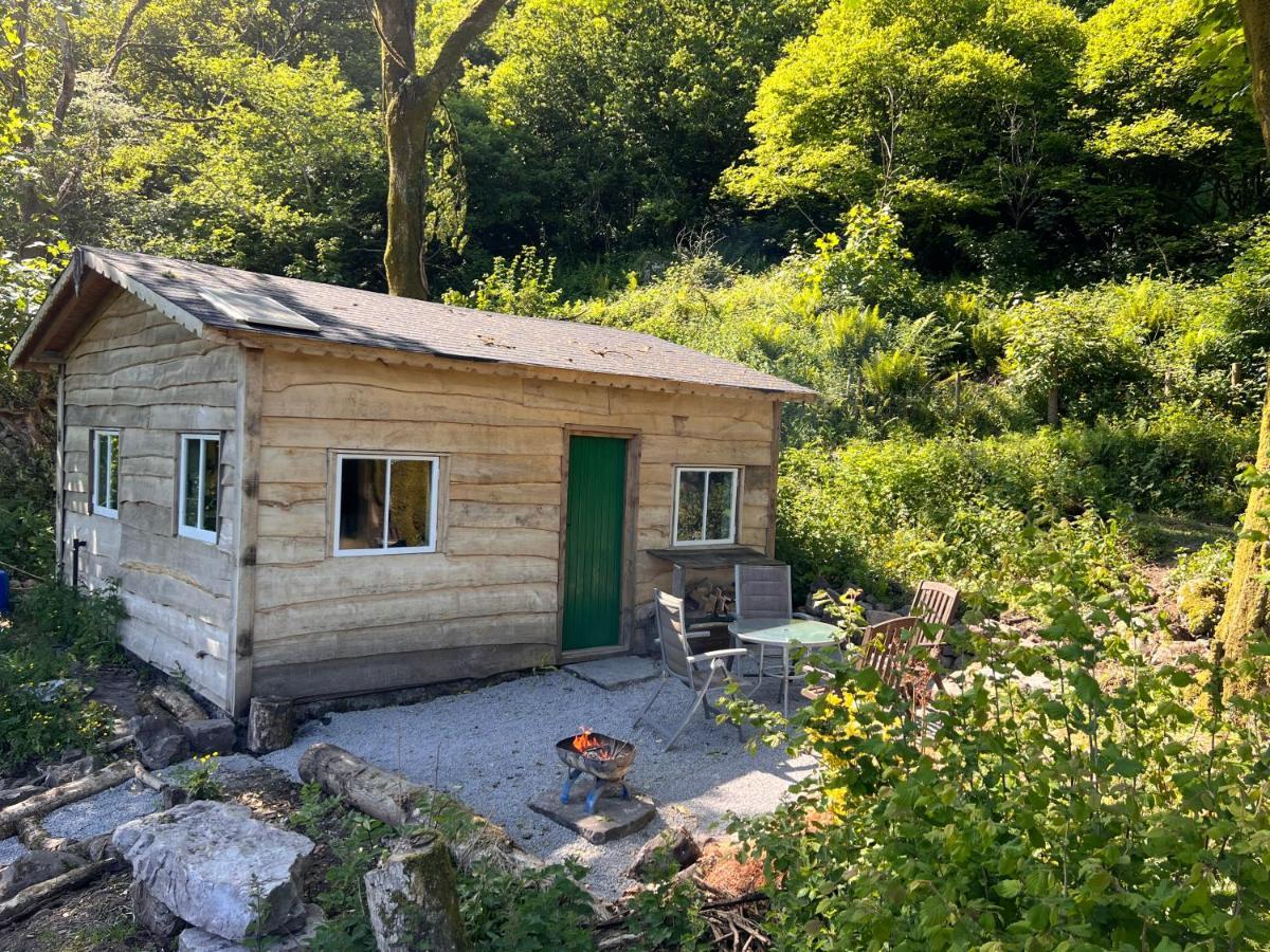 Foxglove Eco Lodge Llanelli Bagian luar foto